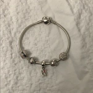 Pandora Bracelet